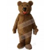 Bear mascot costume