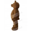 Bear mascot costume