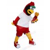 Eagle Hawk mascot costume