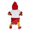 Eagle Hawk mascot costume