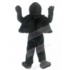 Eagle Hawk mascot costume