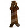 Groundhog mascot costume
