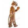 Lion mascot costume