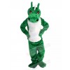 Dragon mascot costume