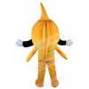 Fish mascot costume