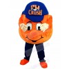 Ball mascot costume