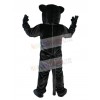 Leopard mascot costume