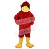 Eagle mascot costume