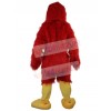 Eagle mascot costume