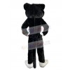 Cat mascot costume