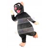 Rat Mouse mascot costume