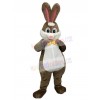 Rabbit mascot costume