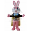 Rabbit mascot costume