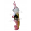 Rabbit mascot costume