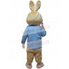 Rabbit mascot costume