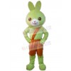 Rabbit mascot costume
