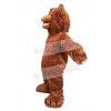 Bear mascot costume