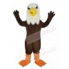 Eagle mascot costume