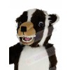 Badger mascot costume