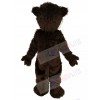 Badger mascot costume