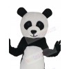 Panda mascot costume