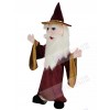 Merlin Wizard mascot costume
