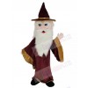 Merlin Wizard mascot costume