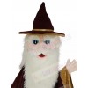 Merlin Wizard mascot costume