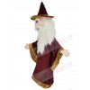 Merlin Wizard mascot costume