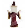 Merlin Wizard mascot costume