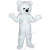 Bear mascot costume