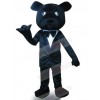 Bear mascot costume