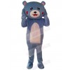 Bear mascot costume