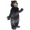 Bear mascot costume