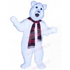 Bear mascot costume