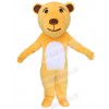 Bear mascot costume