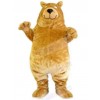 Bear mascot costume