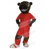 Bear mascot costume