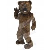 Bear mascot costume