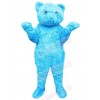 Bear mascot costume