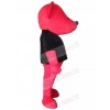 Bear mascot costume