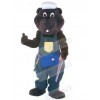 Bear mascot costume