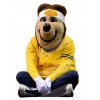 Bear mascot costume