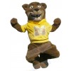 Bear mascot costume