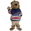 Bear mascot costume