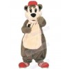 Bear mascot costume