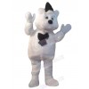 Bear mascot costume