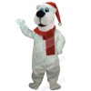 Bear mascot costume