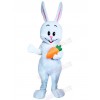 Bunny mascot costume