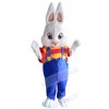 Bunny mascot costume